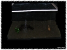 aquadream_60_2009_05_14_02