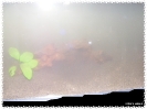 aquadream_60_2009_05_14_04