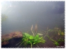 aquadream_60_2009_05_14_08
