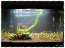aquadream_60_2009_05_25_02