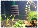 aquadream_60_2009_05_25_04