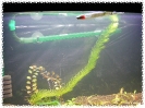 aquadream_60_2009_05_25_05