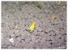 aquadream_60_2009_05_25_07