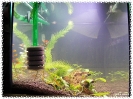 aquadream_60_2009_05_25_09
