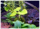 aquadream_60_2009_07_12_01