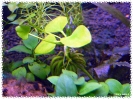 aquadream_60_2009_07_12_02