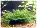 aquadream_60_2009_07_12_04