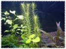 aquadream_60_2009_07_12_05