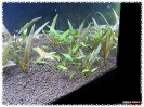 aquadream_60_2009_07_12_07