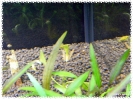 aquadream_60_2009_07_12_08