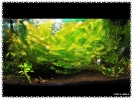 aquadream_60_2009_07_12_12