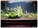 aquadream_60_2009_07_12_13