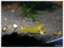 aquadream_60_2009_07_14_03