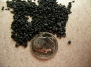 3m_colorquartz_black_t_grade_01