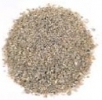 ada_nile_sand_grain_01
