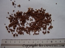 aqua_soil_africana_02