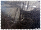 aqua_soil_amazonia_v1_02