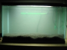caribsea_eco_complete_planted_aqua02