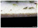 sable_filtre_piscine_05